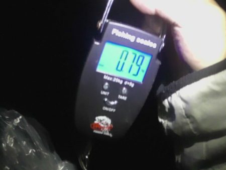 大潮アオリイカ釣行